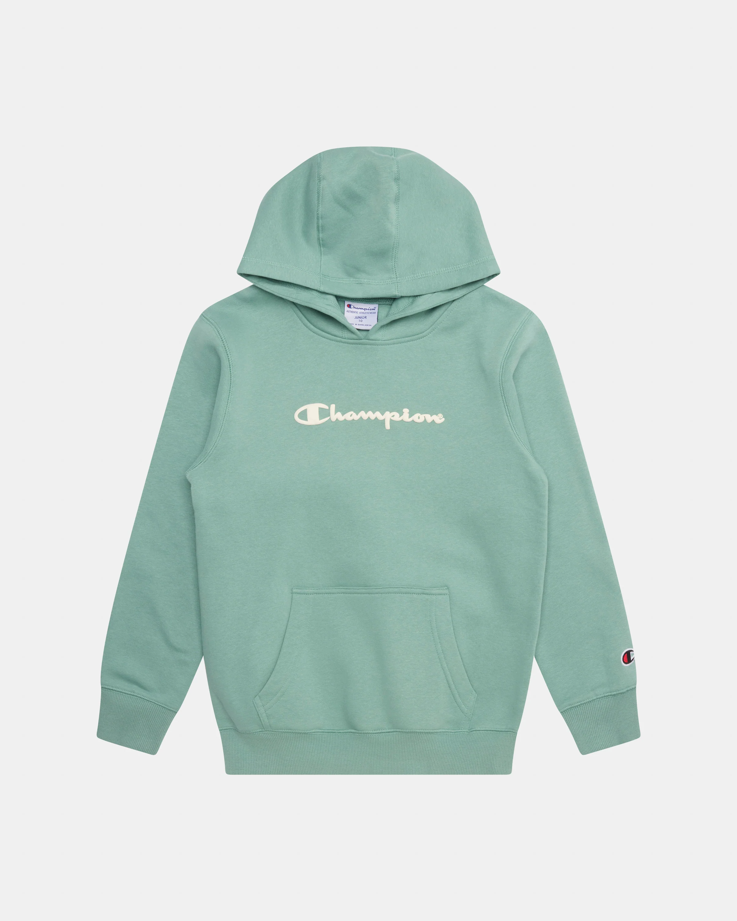 Puff Script Hoodie